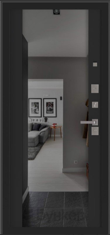 с зеркалом (тонировка) ФЛЗ-1 Черный кварц